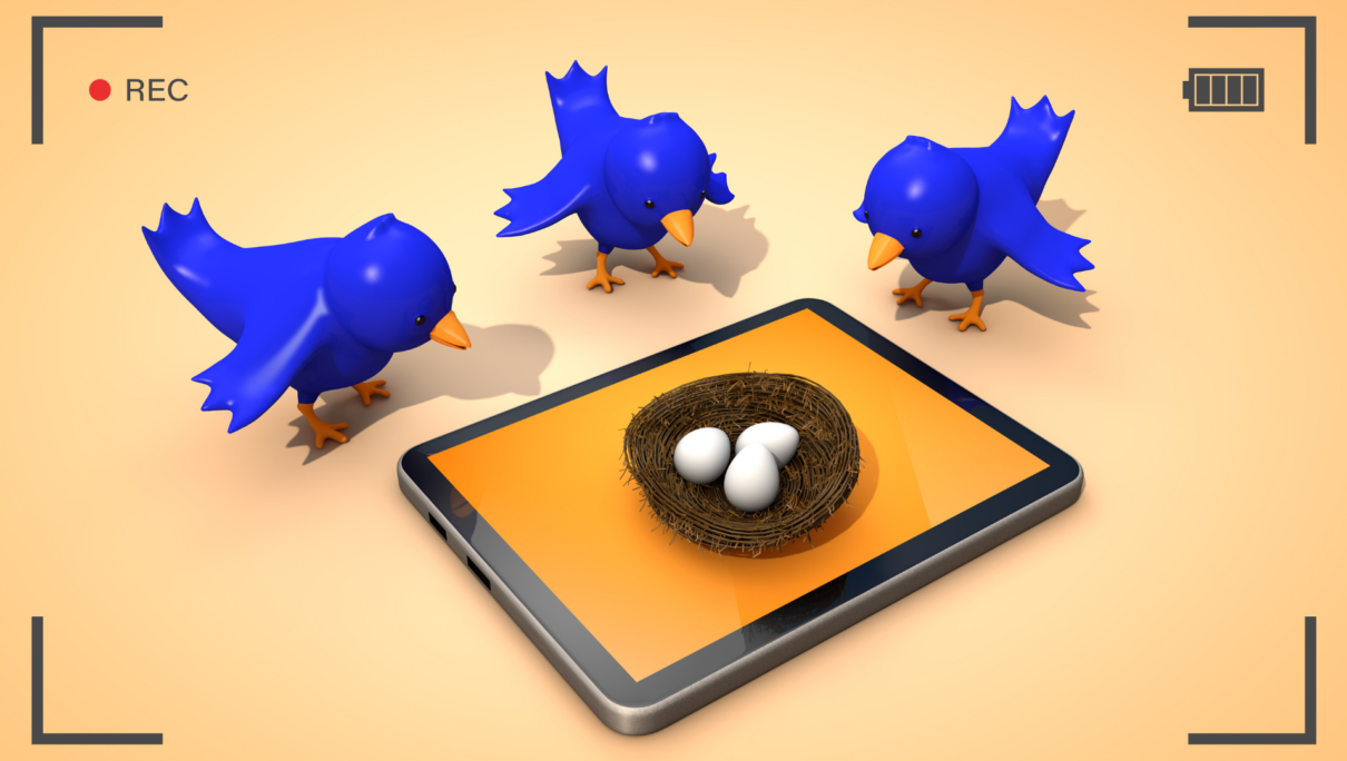Vidéo Twitter : Le guide complet pour optimiser votre stratégie